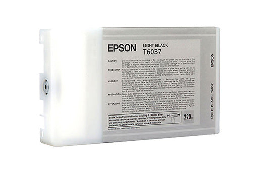 T603700 EPSON Original Light Black Ink Cartridge