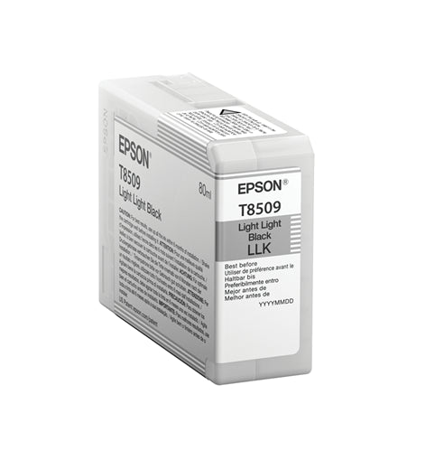 T850900 Epson 850 Light Light Black Original Ink Cartridge